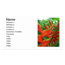 Brillant Heliconia Modèle De Carte De Visite