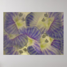 BRISE MAUVE-CLAIR AFFICHES