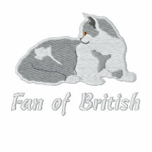 British shorthair lilac and white