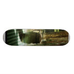 Broc près de fenêtre plateau de planche à roulettes