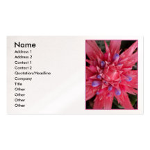 Bromeliad rose cartes de visite professionnelles