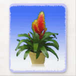 Bromeliad Vriesea Tosca Tapis De Souris