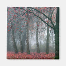 Brouillard dans la forêt d'automne avec le feuille aimant pour réfrigérateur