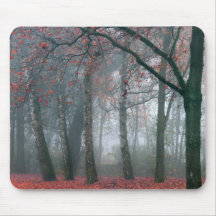 Brouillard dans la forêt d'automne avec le feuille tapis de souris