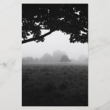 Brouillard de matin émergeant des arbres prospectus personnalisés