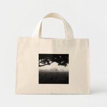 Brouillard de matin émergeant des arbres sacs