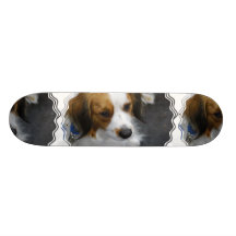 Brown et planche à roulettes blanche de chien de K