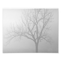 Brume de matin impressions photo