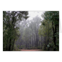 Brume et eucalyptus cartes de vœux