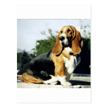 Brumeux Carte Postale