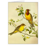 bruniceps donnants un petit coup Rouge-dirigés d'E Carte De Vœux