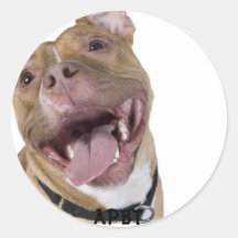 bsl, APBT Adhésifs