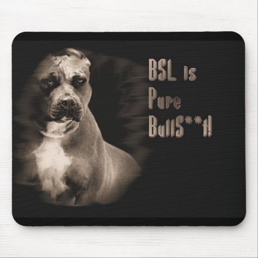 BSL est tapis de souris des BS