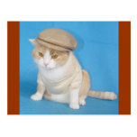 Bubba Kitty Cartes Postales