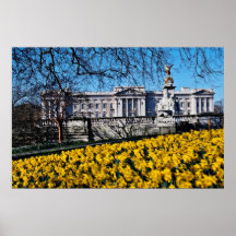 Buckingham Palace, fleurs de Londres Affiches