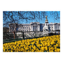 Buckingham Palace, fleurs de Londres Faire-parts