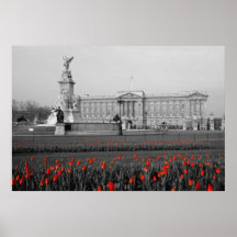 Buckingham Palace Londres Affiche
