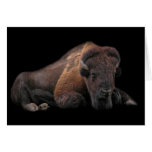 Buffalo Cartes De Vœux