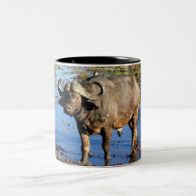 Buffalo de cap par le © de Rowood Tasse