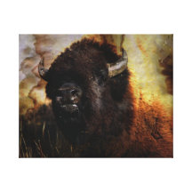 Buffalo sur la toile toiles tendues