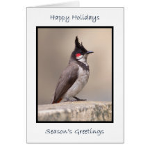 Bulbul indien cartes de vœux