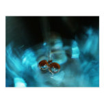 Bulles et Flux d'eau cartes postales