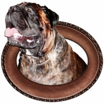 Bullmastiff ornemente des ornements de coupe-circu photo en relief