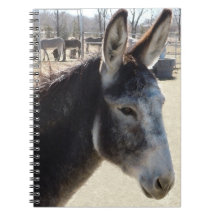 Burros occidentaux d'ânes carnet à spirale