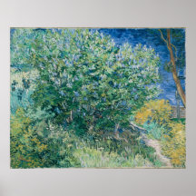 Bush lilas posters