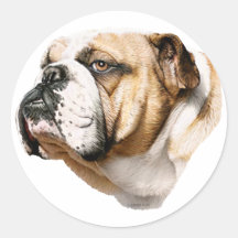 Buste de bouledogue adhésifs
