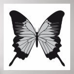butterfly6 posters
