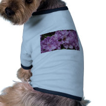 Buzzzzzz Vêtement Pour Animal Domestique