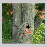 Cabane dans un arbre - copie posters