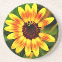 Caboteur de grès de tournesol dessous de verres