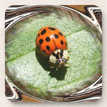 Caboteur de liège de ~ de coccinelle dessous-de-verre
