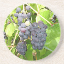 Caboteur de raisins dessous de verres