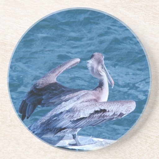 Caboteur d'oiseau de pélican dessous de verres