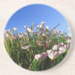 Caboteur - fleurs sauvages dessous de verres