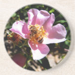 Caboteur - l'abeille sur un sauvage s'est levée dessous de verres