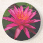 Caboteur - nénuphar rose dessous de verres