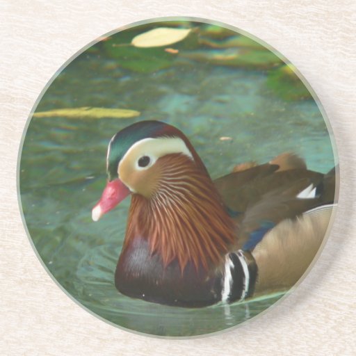Caboteurs de canard dessous de verres