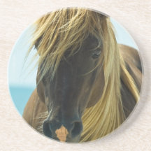 Caboteurs de cheval de mustang dessous de verre