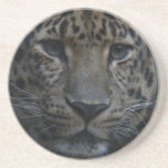 Caboteurs de léopard dessous de verre