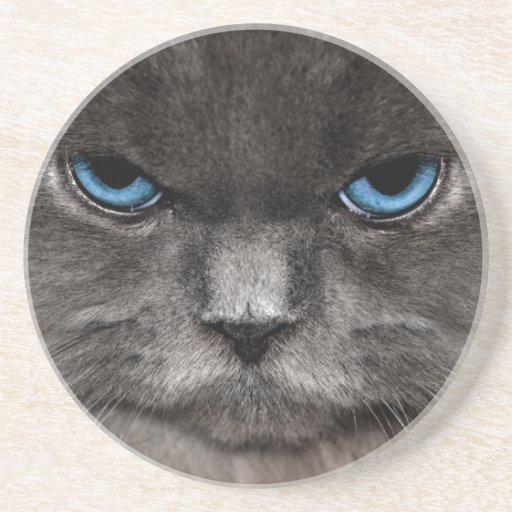 Caboteurs fous de chat dessous de verres