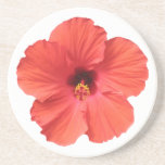 Caboteurs rouges de ketmie dessous de verres