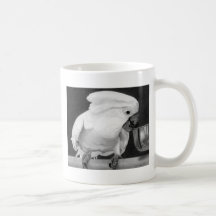Cacatoès Tasse