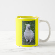 Cacatoès Tasse