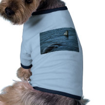 Cachalot Tee-shirts Pour Animaux Domestiques