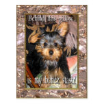 Cachette Yorkie d'os Cartes Postales