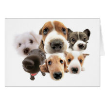Cachorros Carte De Vœux